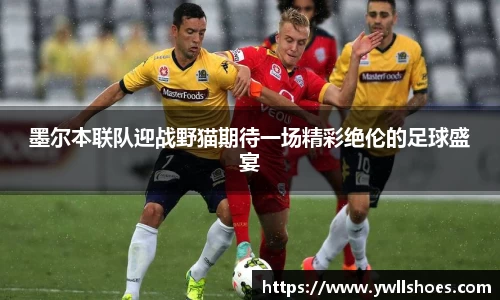 k1体育-十年品牌