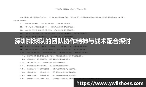 k1体育-十年品牌